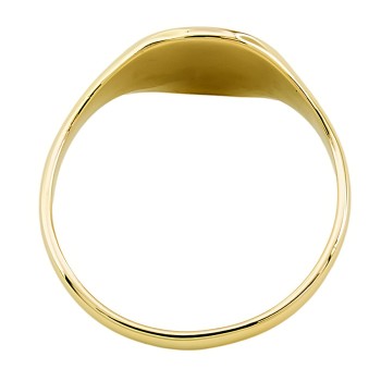 9ct gold 3.9g Signet Ring size X